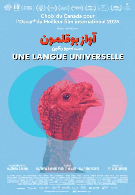 Affiche de la comédie "Une langue universelle" (M. Rankin, 2024)